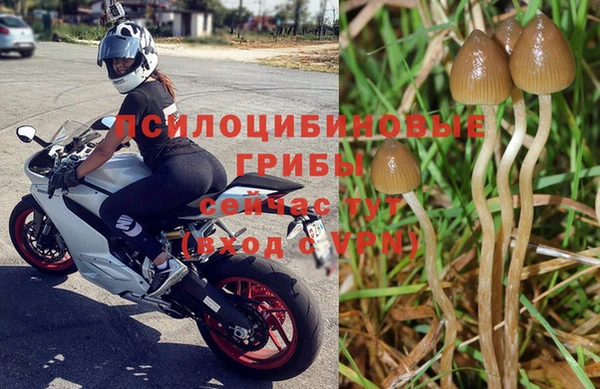 эйфоретик Армянск